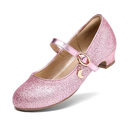 DREAM PAIRS Girls Mary Jane Low Heel Princess Flower Wedding Party Pump Dress Shoes 12 Little Kid Pink