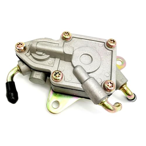 Alimentación de combustible para buggy UTV 300cc Jcl y Linhai Bighorn