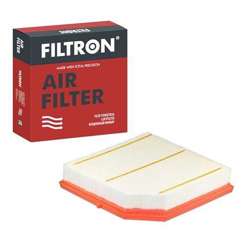FILTRON, AP 180/2 Filtre Ă air