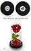 DECO EXPRESS Rosa Bella y Bestia Con Luces Led Suaves, Cupula de...