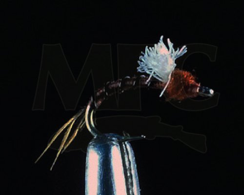 Montana Fly Company Juan's Floss Back - Chocolate - Size 18-1/2 Dozen