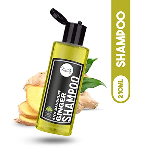 Luster-Ginger-Anti-Dandruff-Shampoo-Enriched-With-Pure-Ginger-Extracts-Dandruff-Hair-Fall-Control-Treatment-Shampoo-For-Women-And-Men-Paraben-Sulfate-Free-210ml Luster Ginger (Anti-Dandruff) Shampoo | Enriched With Pure Ginger Extracts | Dandruff & Hair Fall Control Treatment…