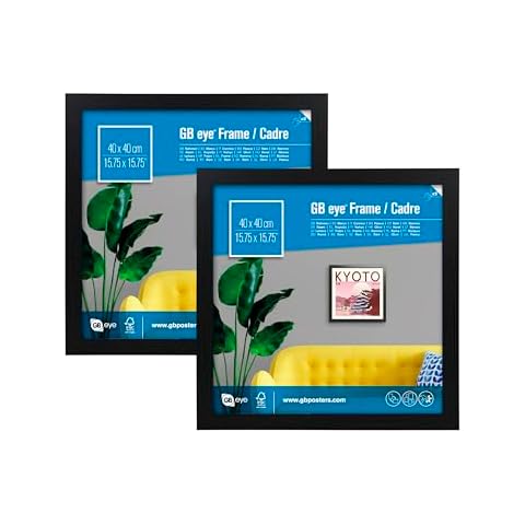 GB Eye Twin Pack Black Wooden Frames Cover