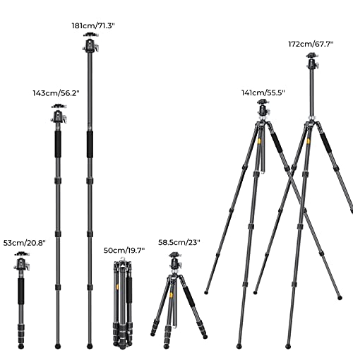 K&F CONCEPT X-Series 68" Carbon Fiber Camera Tripod,Professional Photography Tripod with 36mm Metal Ball Head Load Capacity 35.2lbs for Indoor Outdoor Use X284C4+BH-36