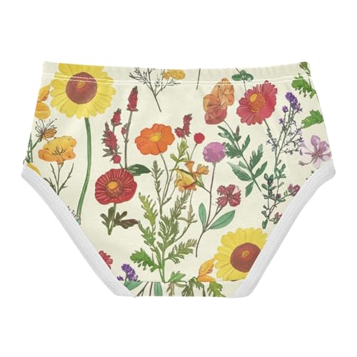 Toddler Girls Underwear 2t Cotton Panties Little Girl Fun Print Kids Briefs Undies Retro Wildflowers Botanical Yellow2