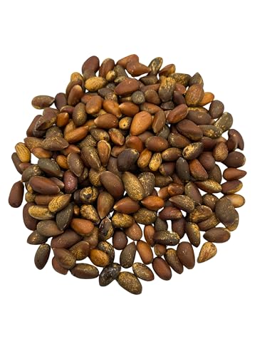 Spuun Foods In-Shell Pinon Nuts 3 oz