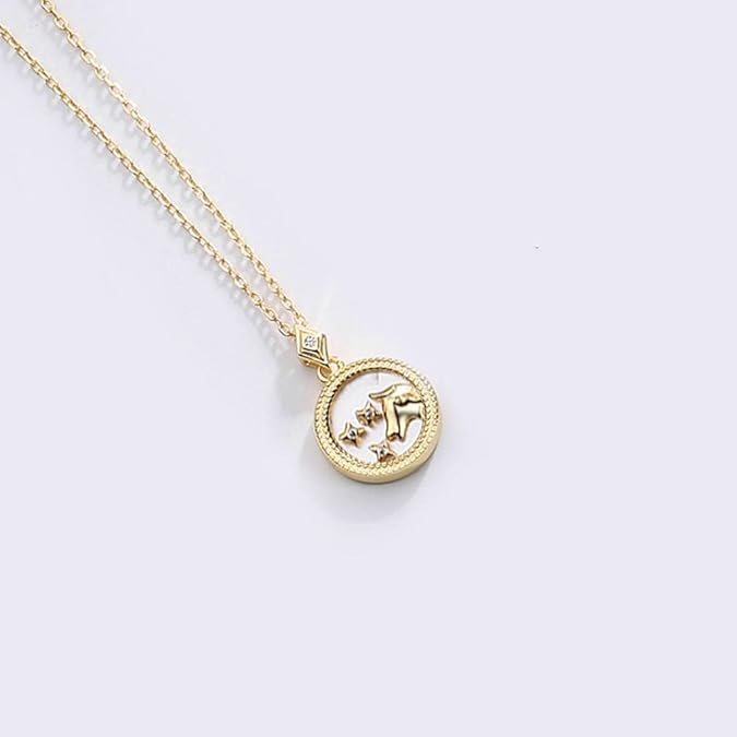 Zodiac 12 Constellation Sign Necklace,Fashion Golden Round Card With White Seashell Art,Women/Men Horoscope Celestial Astrology Set Ladies Fashion Jewelry Birthday Gift