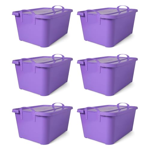 Life Story 6 Pack Stackable Storage Bin, 55 Qt Home Organizers, Purple