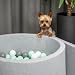 Petsona Weiche Hundepool Aus Schaumstoff, Hundeplanschbecken Mit Bunten Bällen, Spielbereich Für Hunde Und Katzen, Abnehmbarem Waschbarem Bezug, Hellgrau: Blau/Gelb