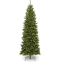 Algopix Similar Product 5 - National Tree Company PreLit