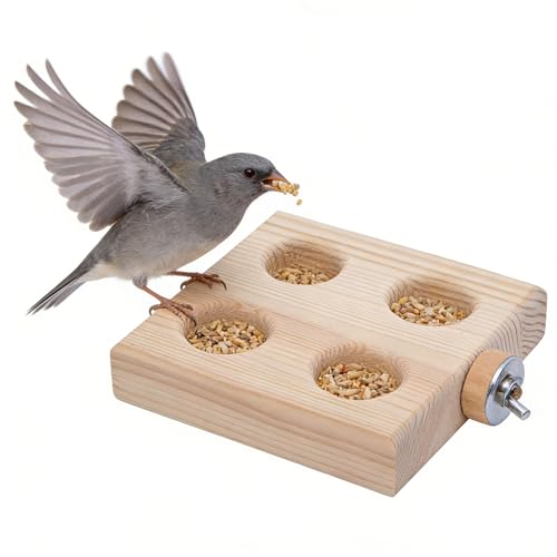 Juguete de búsqueda de comida para pájaros,Entretenido búsqueda de alimentos interactivos de madera Actividad natural,Pequeños juguetes para pájaros - Para interiores y exteriores Balcón Terraza