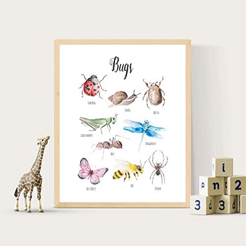 Art mural insectes peinture aquarelle sur toile durable de 50x70cm