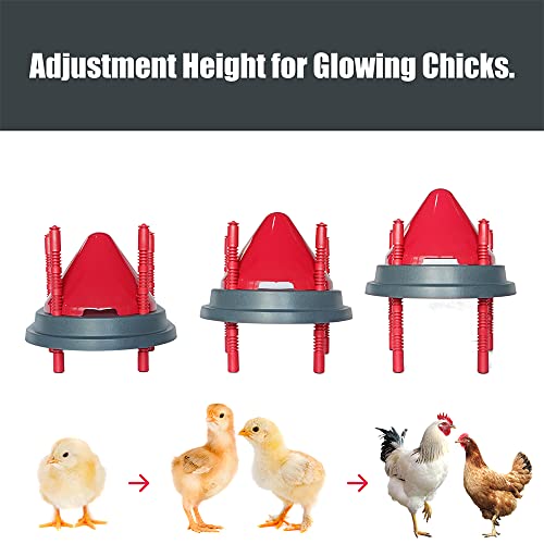 Taixinpower Chick Brooder Kit Wärmeplatte, Ersatz Wärme Lampe für Hühnerstall, Höhenverstellung für 15-20 Hühner/Enten… – Bild 5