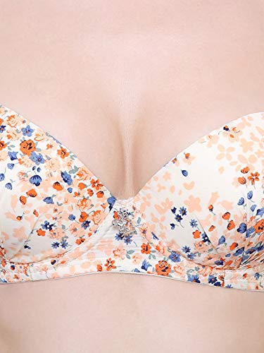 Image of Brachy Women's Polyamide & Elastane Heavily Padded Wired Push-Up Bra