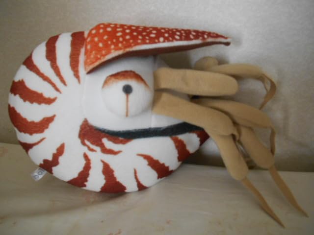 Amazon.co.jp: オウムガイ ぬいぐるみ : おもちゃ
