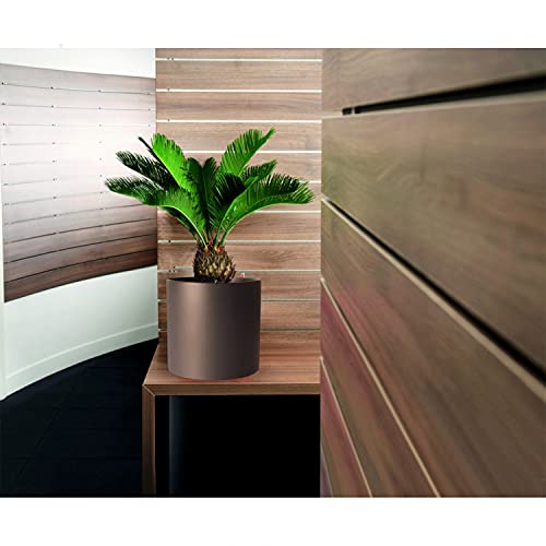 Image of Xtore Pleasing Planter Flower Pot | Home Decor Addon | Matte Finish - Pack of 1, Brown
