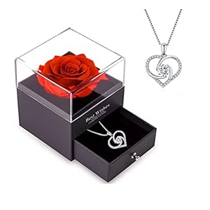 WILDLOVE Preserved Rose with Heart Necklace – Valentines Day Gifts for Her, Romantic Anniversary Birthday Gift for Her…
