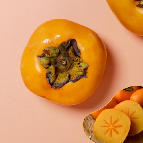 H D 6  Y IWii ` Ê`  uh`   H Ȃ t[c ʕ v[g Mtg