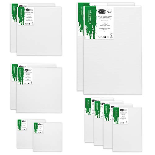 Artina Set da 12 tele per pittura Akademie 280