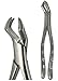 Dental USA-American Forceps 88r Upper Molar Code-4819