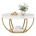 Tribesigns Modern Round Coffee Table, 2 Tier Coffee Table with Faux White Marble and Golden Metal Legs, Circle Center Table Tea Table Accent Furniture for Living Room, White and Gold