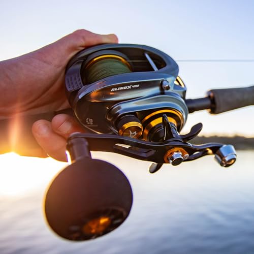 Image of Piscifun Alinox 400 Baitcaster Fishing Reel, 38Lbs Max Drag Aluminum Alloy Frame Baitcasting Reel, Available in 6.6:1 /8.1:1 Gear Ratio, Freshwater and Saltwater Low Profile Casting Reel for Musky