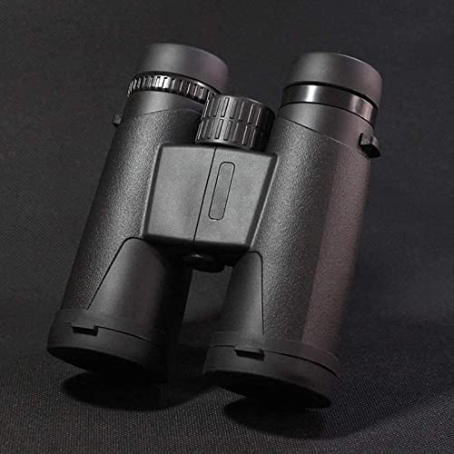 Binoculares 10x42 Alta Definición miniatura 4