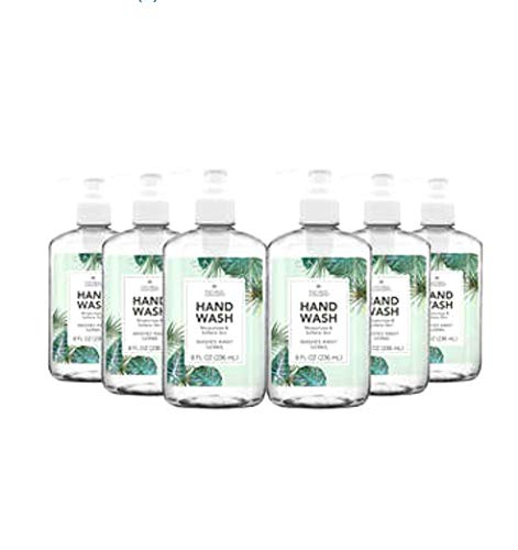 Natural Concepts Hand Wash 6-Pack / 8 oz Pump Bottles