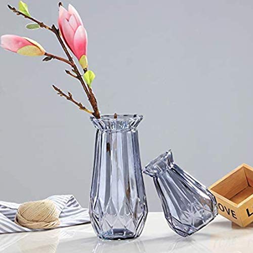 YLLQXI Transparante glazen vaas, decoratieve vaas glazen bloemenvazen, decoratieve vaas, bloemplantenhouder, voor thuis, kantoor, decoratie, cadeau voor bruiloft, housewarming, vakantie, feest, feest - Afbeelding 6