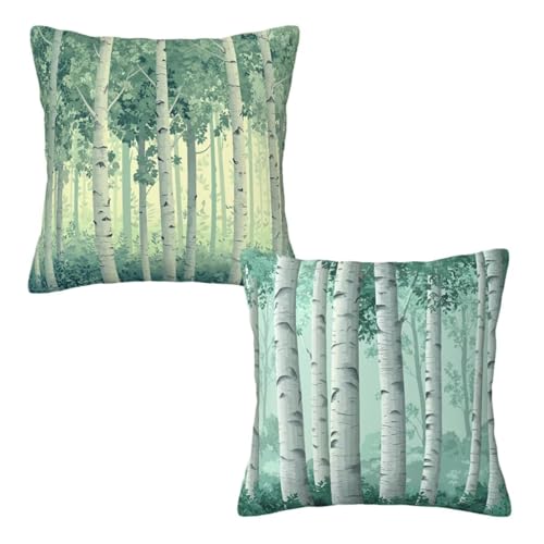 Fundas Cojines 55x55 cm, Funda Cojines Sofa Aceituna Patrón Juego de 2, Terciopelo Funda Almohada, Cojin Decorativos para Sofa Impermeable para Otoño Cama, Decoracion Hogar, Regalo Mujer (Planta) Z-93