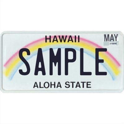 Placa de metal personalizada para matrícula, tu nombre es tu estado. Elige entre los 50 estados.