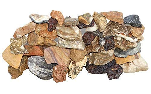 Maalavya 5 Kg Mix Variety Small 2 to 4 inch Rocks Like-Lava, Congo, Dead, Dragon, Layer, Siru, Ryuoh, Slate, Zebra ETC Rocks for Aquariums, Garden, Terrarium, ETC (B08XW32X6Y) Amazon Price History, Amazon Price Tracker