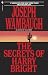 The Secrets of Harry Bright