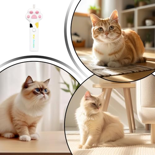Jouet interactif pour chat pour stimuler un chaton d'appartement - 8