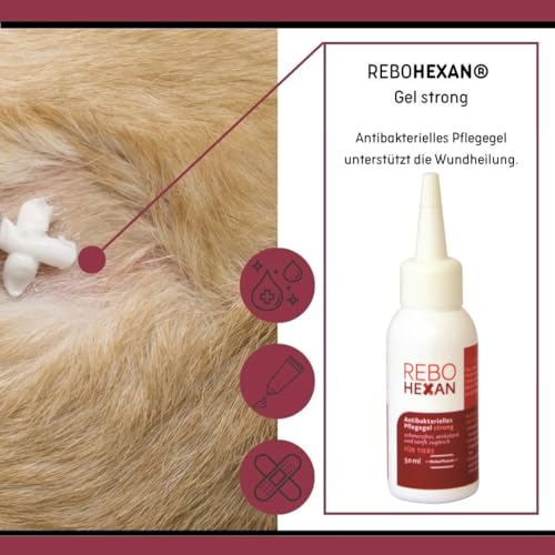 ReboHexan Gel Strong 50 ml: Hochviskoses Pflegegel für Tierwunden, unterstützt die Hautregeneration, Reduziert Narben, Verhindert Ankleben an Verbänden, Ideal für Hautpflege