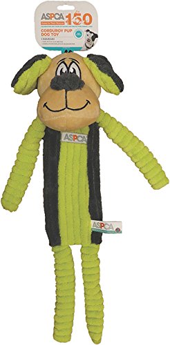 Bow Wow PetASPCA Corduroy Pup Dog Toy, Green