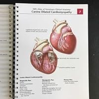 Hill's Atlas of Veterinary Clinical Anatomy B003PW3BHY Book Cover