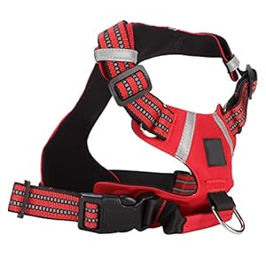 Yinhing Hundegeschirr Reflektierende Weste für Kleine Mittelgroße Große Hunde