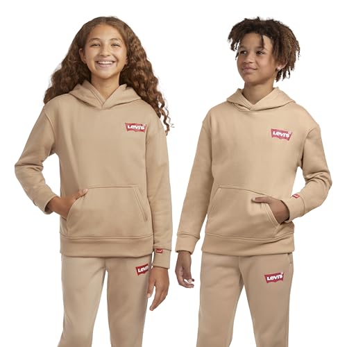 Image of Levi's Boys' Soft Knit Graphic Pullover Hoodie