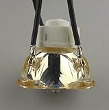 CTLAMP Bare Bulb RLC 030 with Phoenix Original Lamp Burner for Viewsonic PJ503D RLC-030 Projector Lamp Replacement
