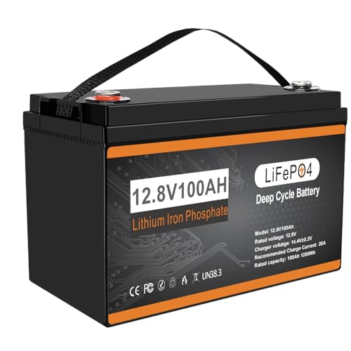 D0NGHOT 12V 100Ah LiFePO4 Battery 12V 100Ah Lithium