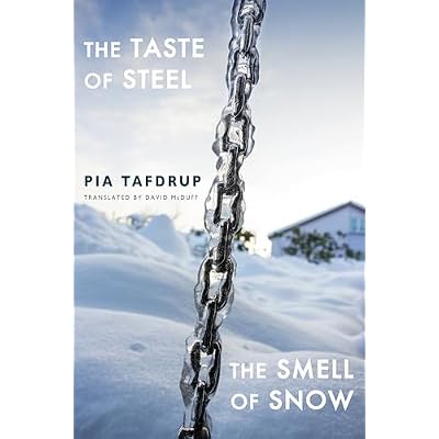 The Taste of Steel &bull; The Smell of Snow