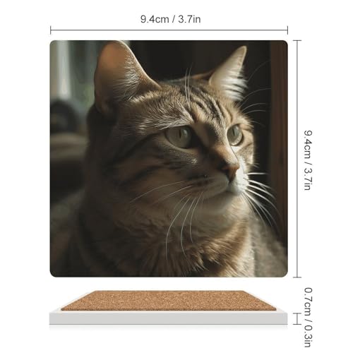 Dessous de verre céramique chat tigré : stop aux taches d'eau sur votre table - 3
