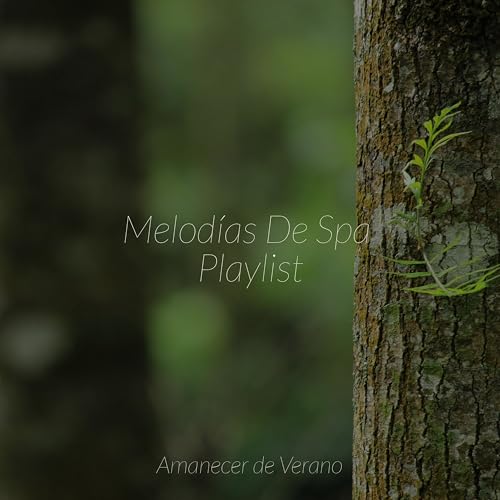 Play Melodías De Spa Playlist by Sleep Baby Sleep, Chakra Balancing