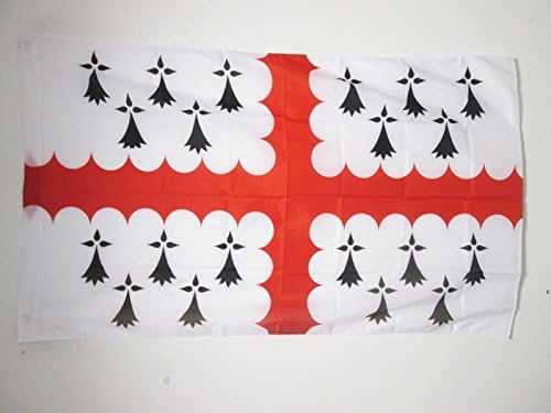 AZ FLAG, Count of Vannes Flag, 3x5 Ft, County of Vannes Banner with Sleeve, 100% Polyester, Fade Resistant, Vivid Colors