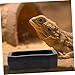 Yardwe 20Pcs Reptile Feeding Bowl Durable Water and Food Dish for Bearded Dragons Geckos and Other Pets Easy to Clean Reptile Tank Accessories