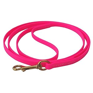 JJ-Dog-Supplies-Biothane-Dog-Leash Pink 6-foot Dog Leash