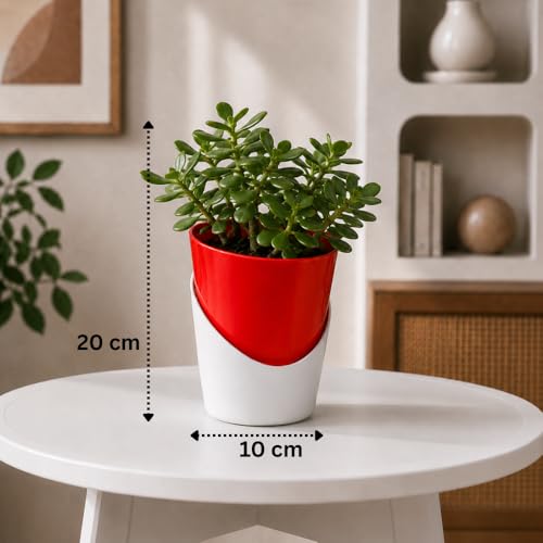 Image of Urban Upvan 4 Inch Self Watering Pot with Jade Plant | Indoor Decorative Planter with Drainage System | Ideal for Home, Office & Desk Decor | Red