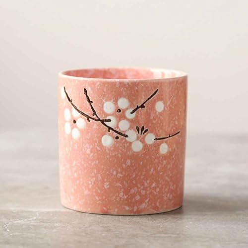 Set de sake japonés elegante de cerámica con olla y tazas de diseño exclusivo 3
