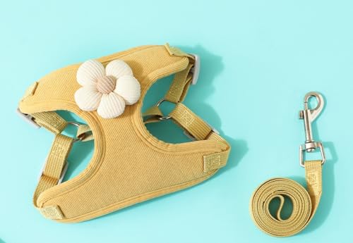 Tuyiutm hbO[VxXg ^p ݎň̌ジh~ Ȏ  ĕp A^b`g ʋC y O[hZbg ߉\ ~ ȒP 􂢉\ ϋv 킢Lp[hZbg lG EȒP g